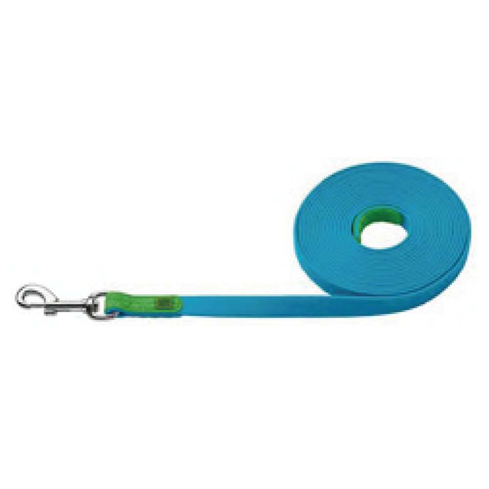 Leash for Dogs